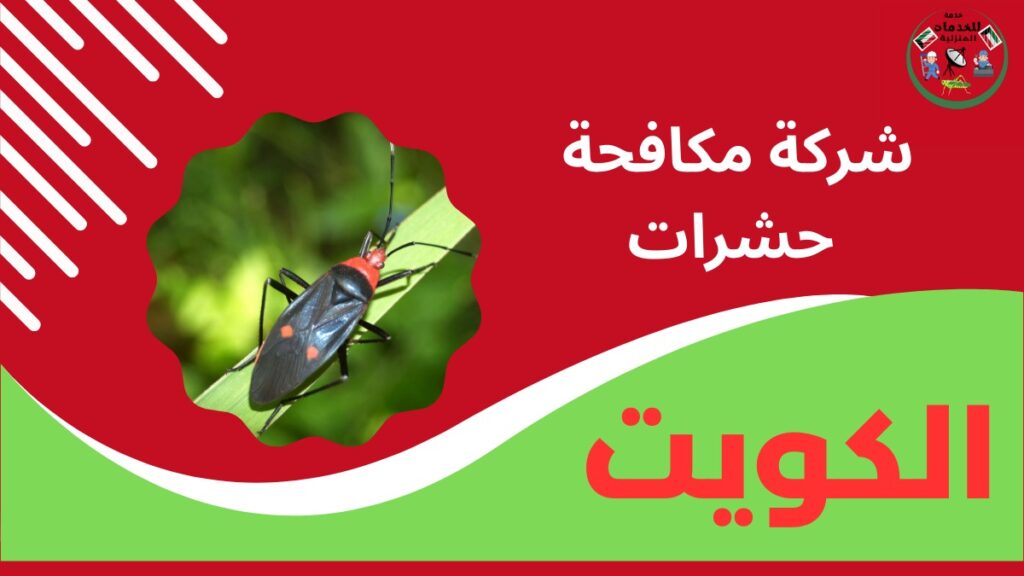 شركة مكافحة حشرات