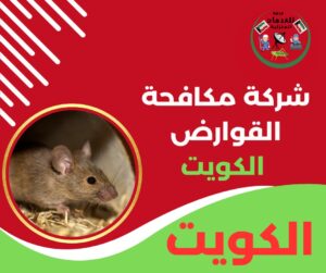 شركة مكافحة القوارض الكويت