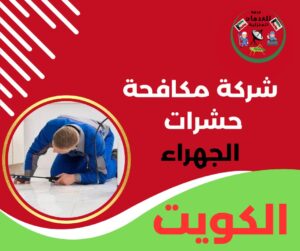 شركة مكافحة حشرات الجهراء